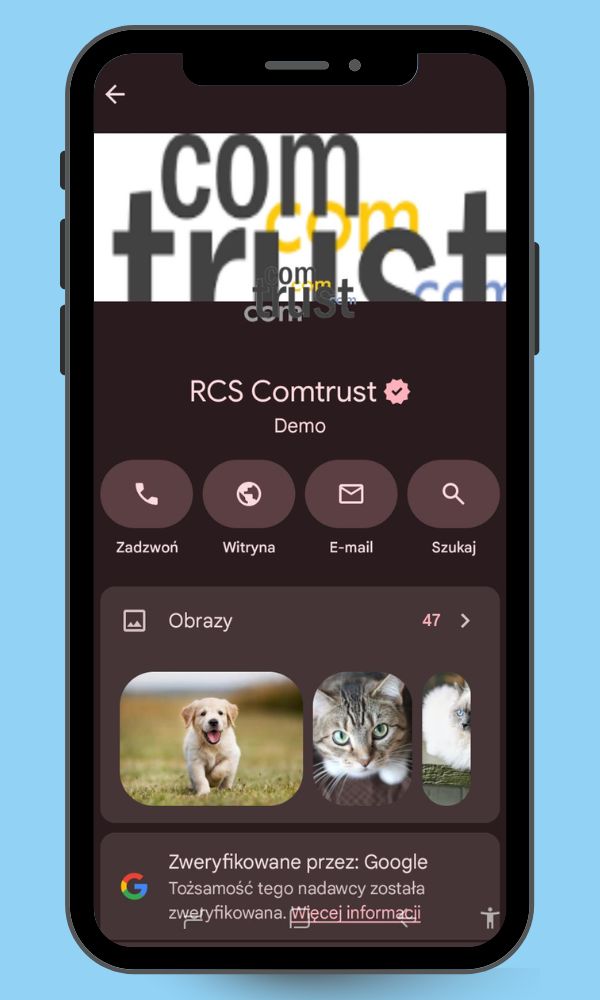 nazwa firmy w rcs